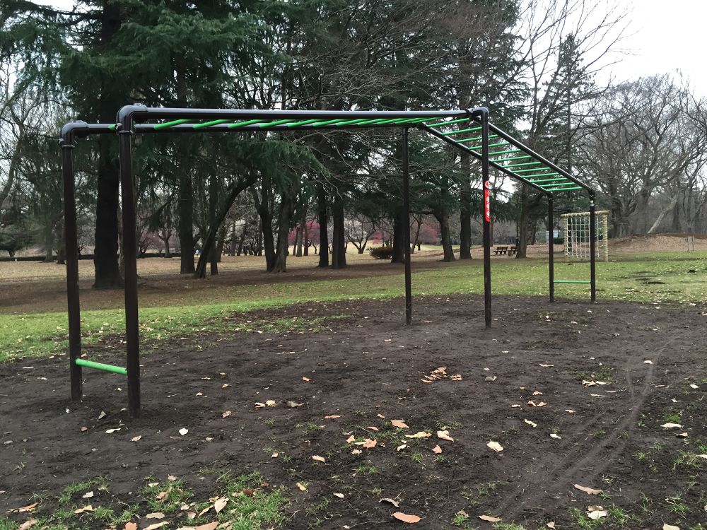 武蔵野のクロカンパーク野川公園2.5kmコースの写真8