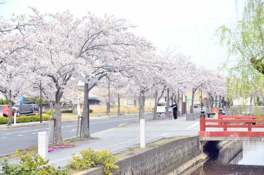出雲市駅から10km観光コースの写真13