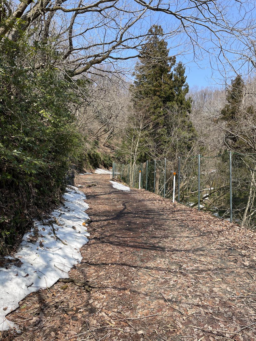大池いこいの森の旅―キャンプとランニングで出逢う景色の写真3