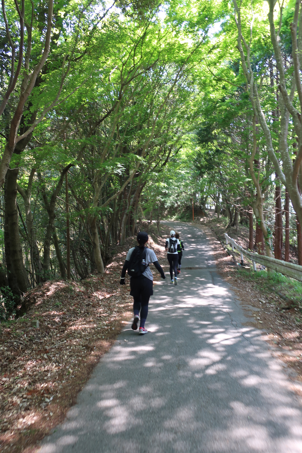 養老渓谷・梅ヶ瀬渓谷〜大福山〜中瀬遊歩の写真3