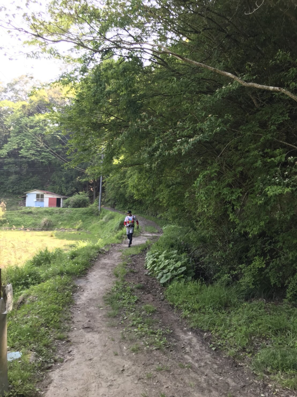 養老渓谷・梅ヶ瀬渓谷〜大福山〜中瀬遊歩の写真5
