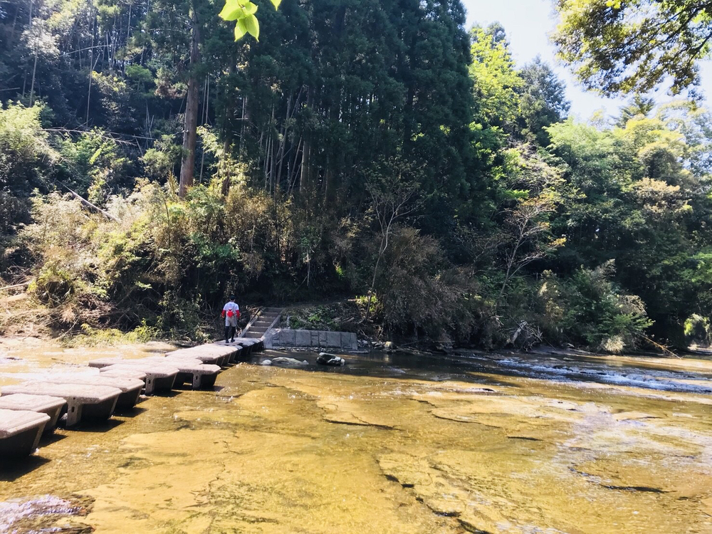 養老渓谷・梅ヶ瀬渓谷〜大福山〜中瀬遊歩の写真6