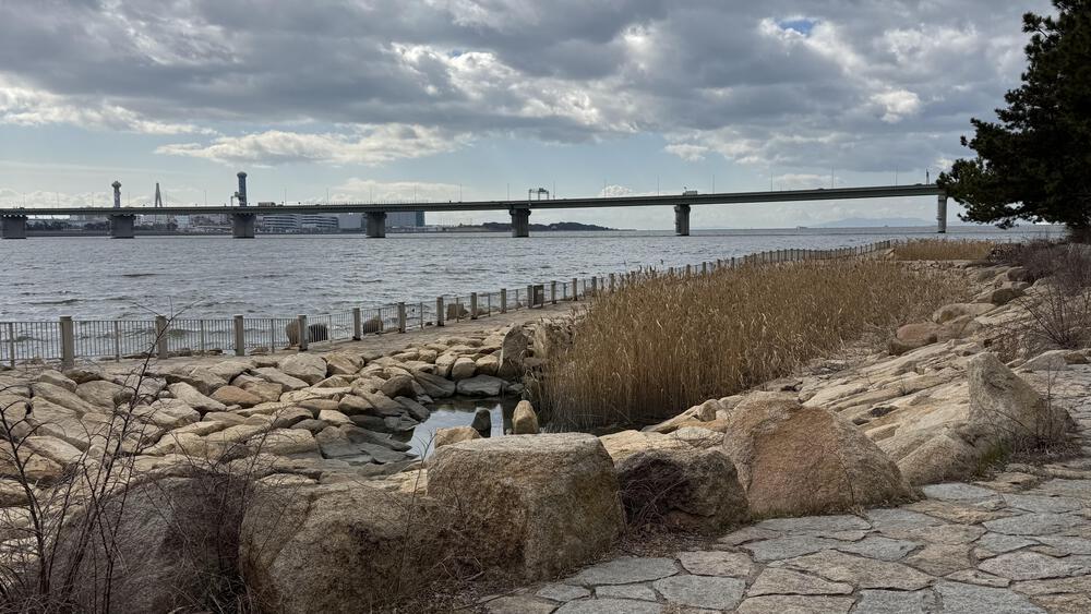 梅田ラントリップから淀川河口までの写真5