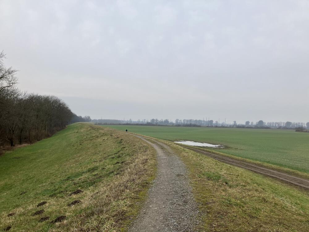 デュッセルドルフ　ベンラート城から市街地への写真5