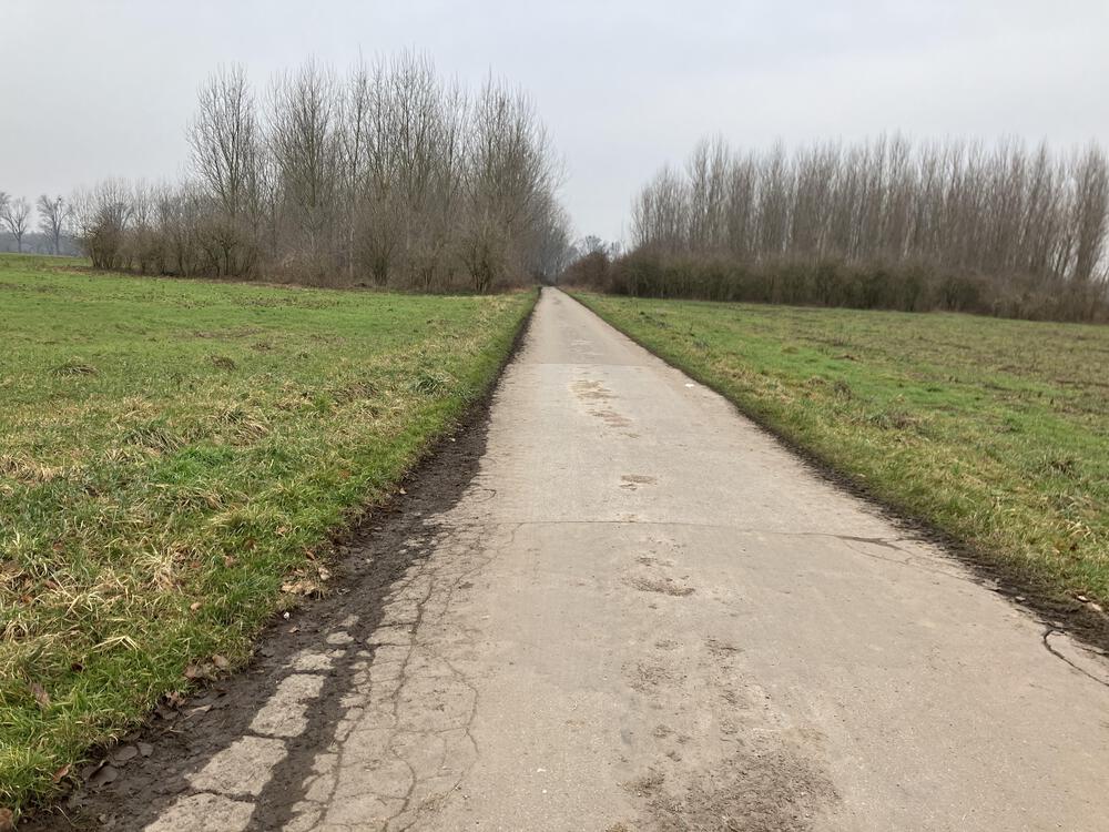 デュッセルドルフ　ベンラート城から市街地への写真6