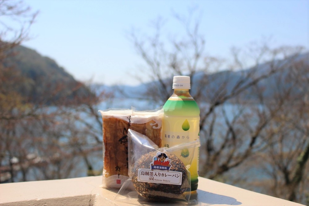 箱根駅伝往路ゴールを目指す！芦ノ湖西岸クロカン12kmの写真10