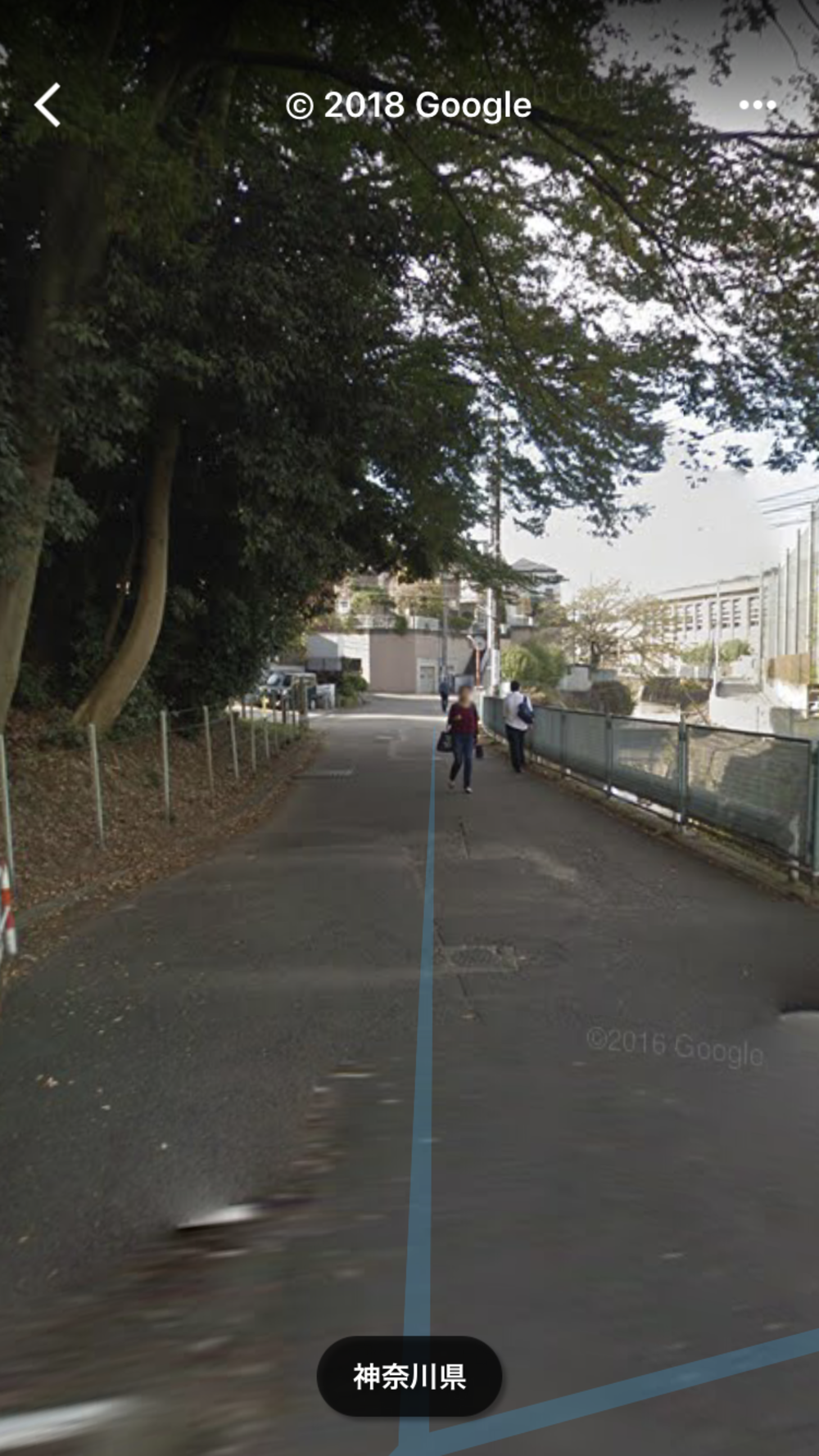 片平→上麻生線→琴平神社→尻手黒川線→片平の写真16