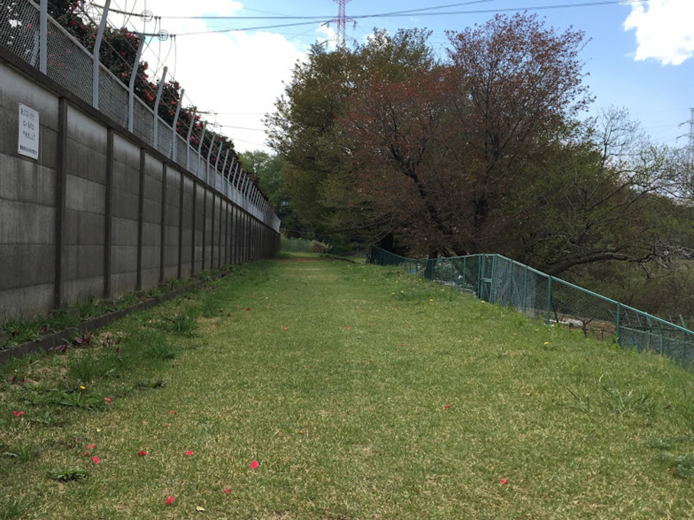 多摩丘陵を満喫。いいとこどりのロングコース。の写真5