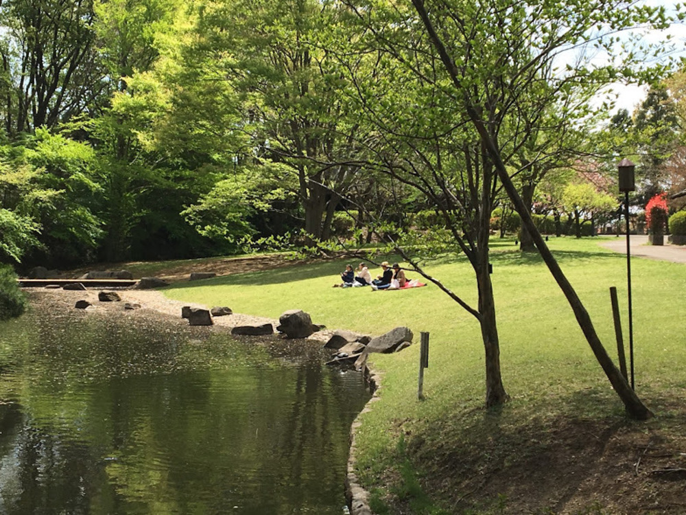 多摩丘陵を満喫。いいとこどりのロングコース。の写真7