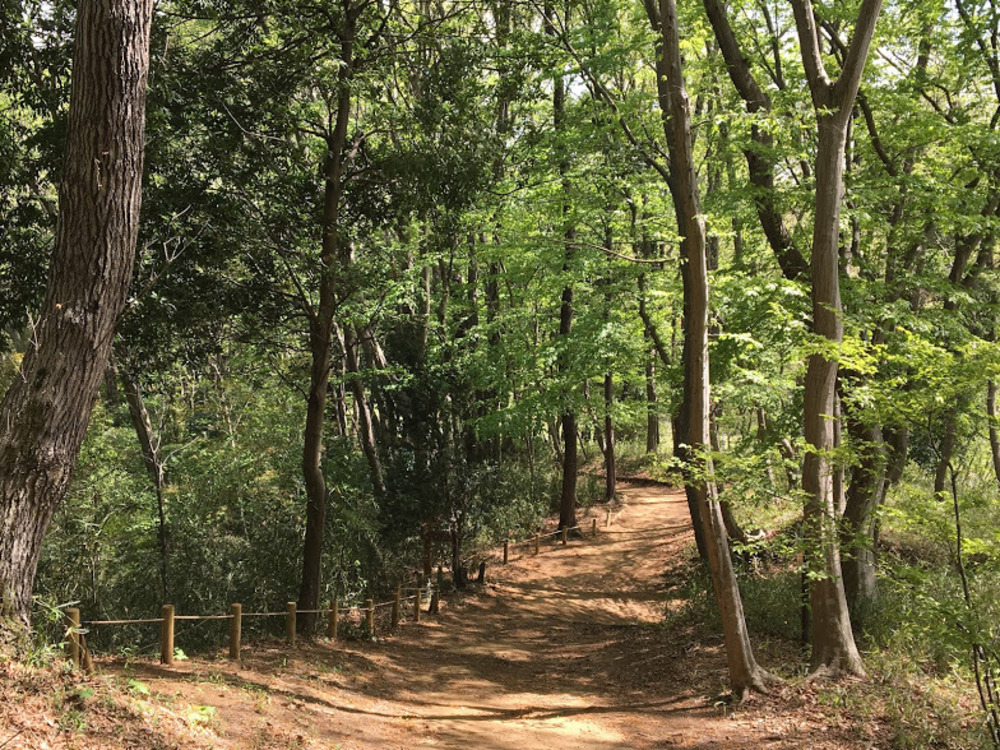 多摩丘陵を満喫。いいとこどりのロングコース。の写真9