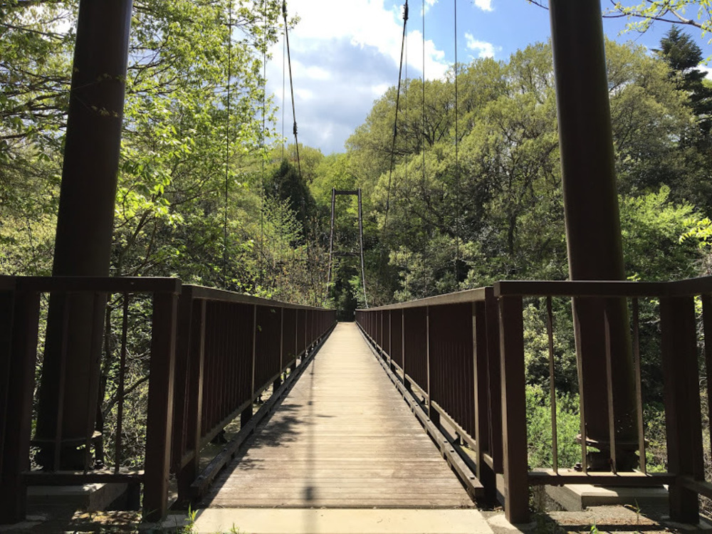 多摩丘陵を満喫。いいとこどりのロングコース。の写真10