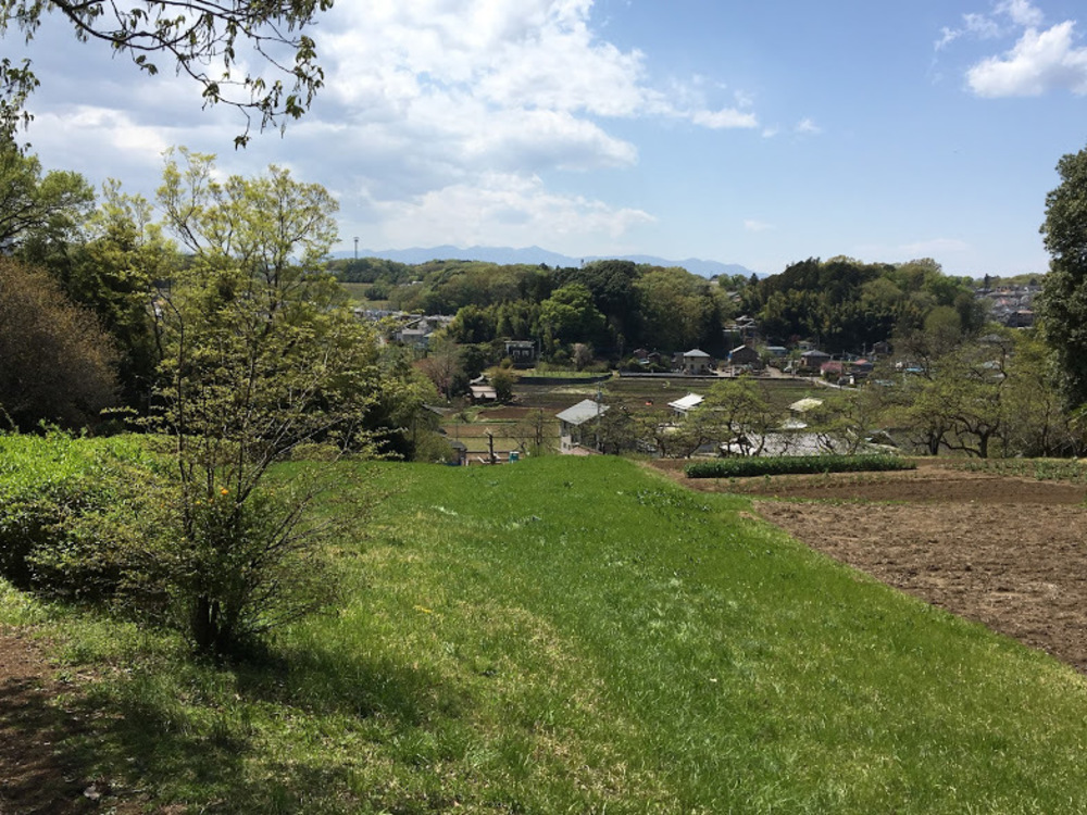 多摩丘陵を満喫。いいとこどりのロングコース。の写真11