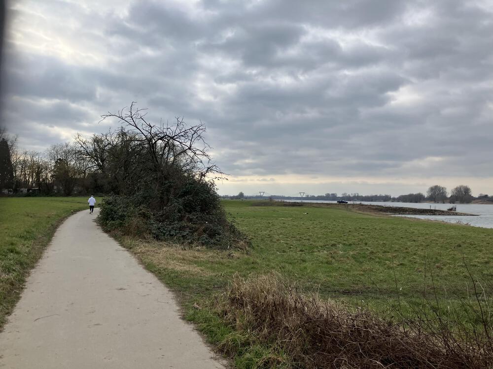 ドイツの古城とライン川を巡るの写真3