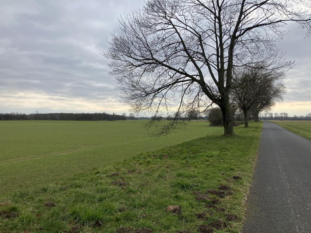 ドイツの古城とライン川を巡るの写真4