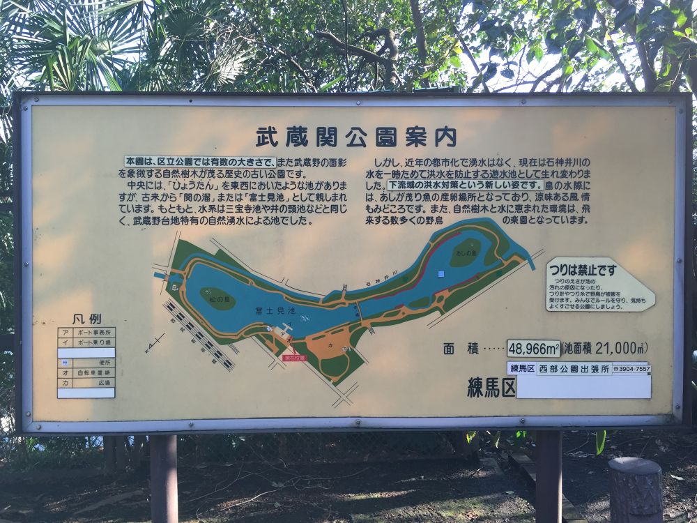 池周り1.2㎞武蔵関公園の写真4