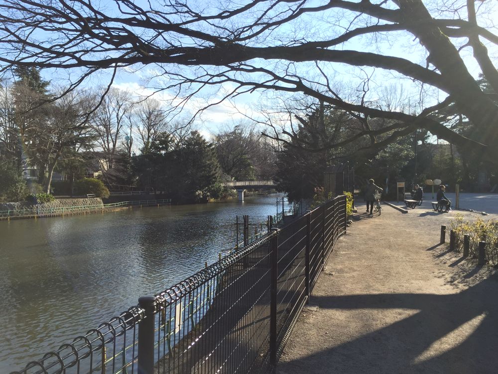 池周り1.2㎞武蔵関公園の写真5