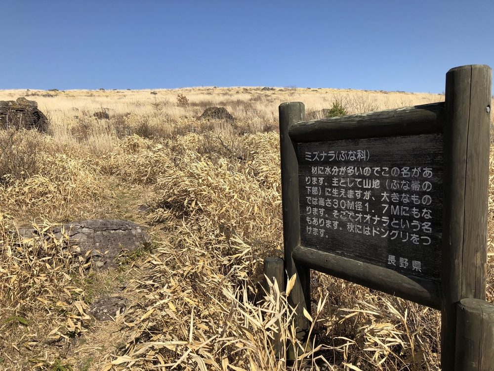 霧ヶ峰自然研究路〜車山トレイルの写真3