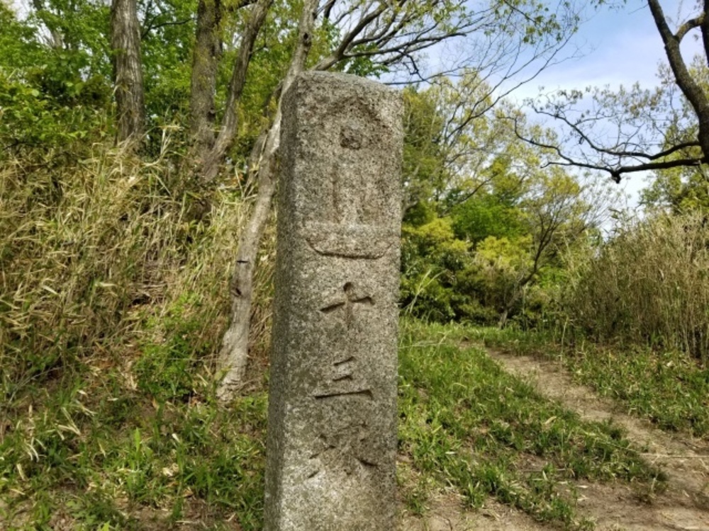 生駒山縦走路（石切～高安山）トレイルの写真6