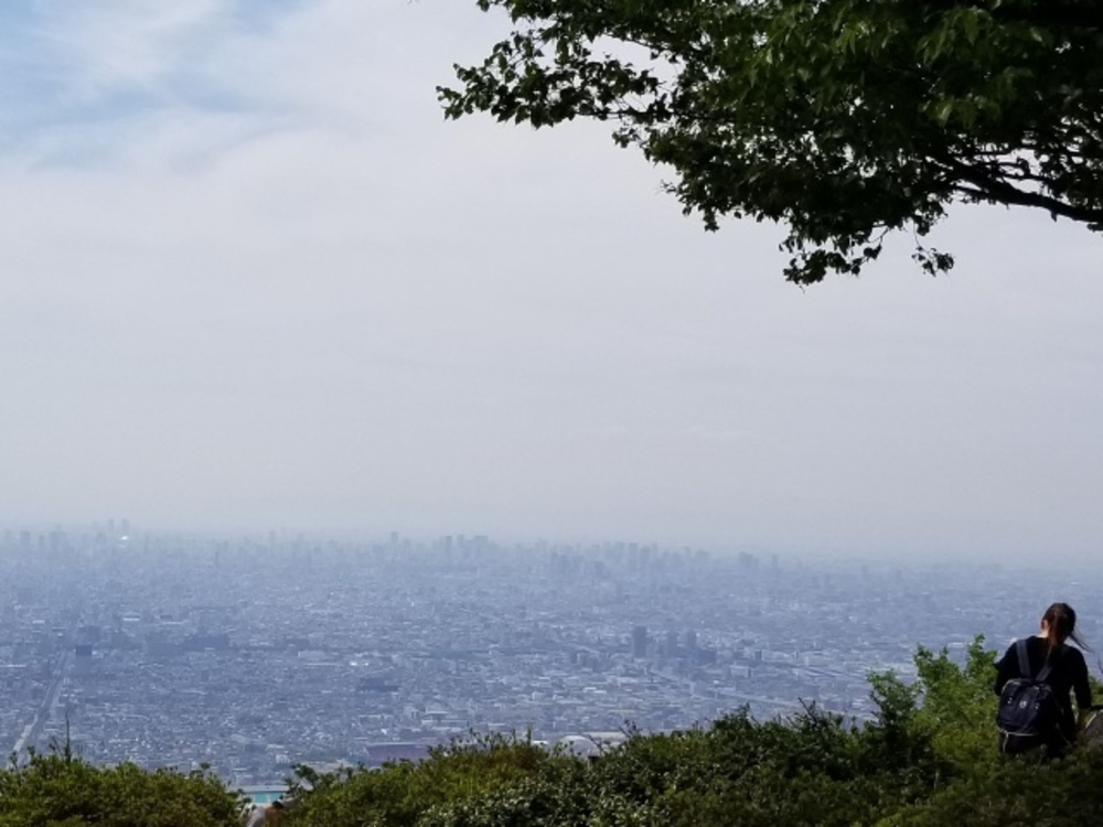 生駒山縦走路（石切～高安山）トレイルの写真13