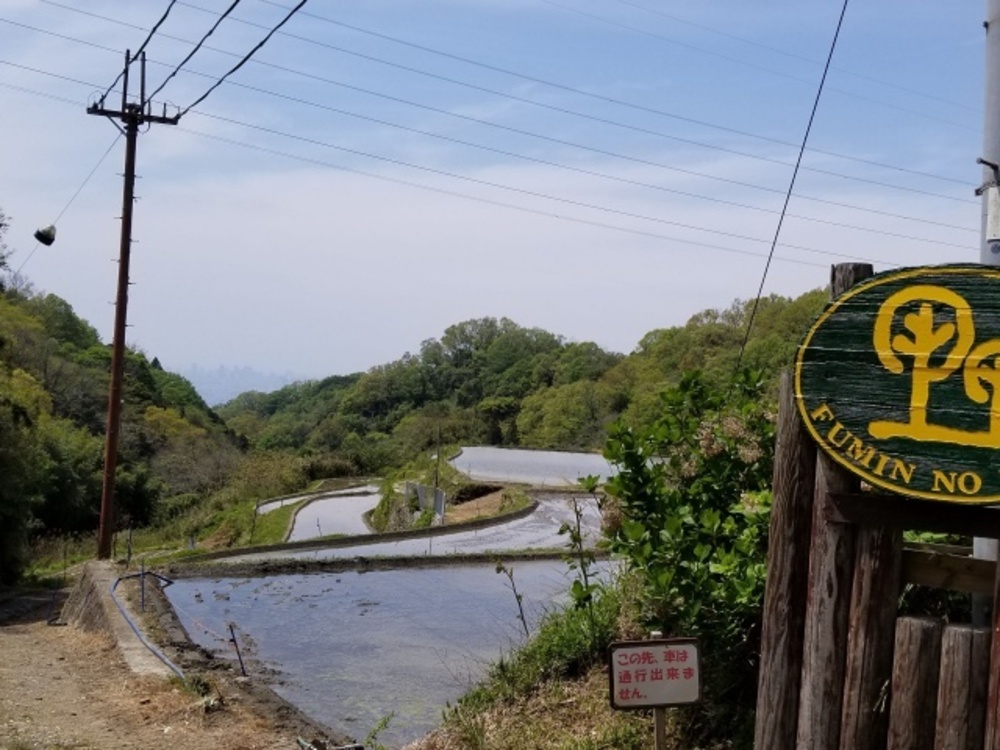 生駒山縦走路（石切～高安山）トレイルの写真18