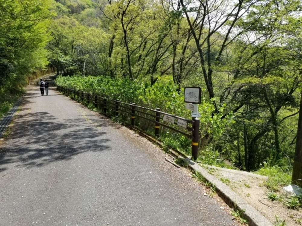 生駒山縦走路（石切～高安山）トレイルの写真19
