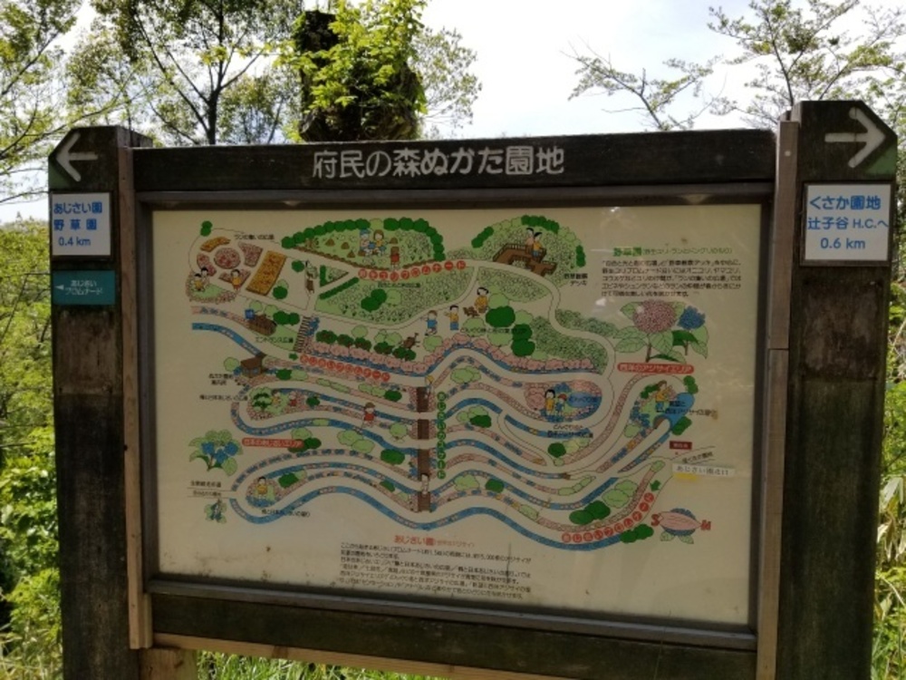 生駒山縦走路（石切～高安山）トレイルの写真20