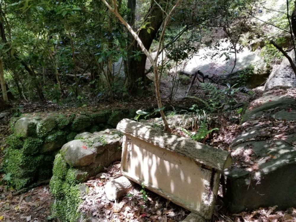 生駒山縦走路（石切～高安山）トレイルの写真22