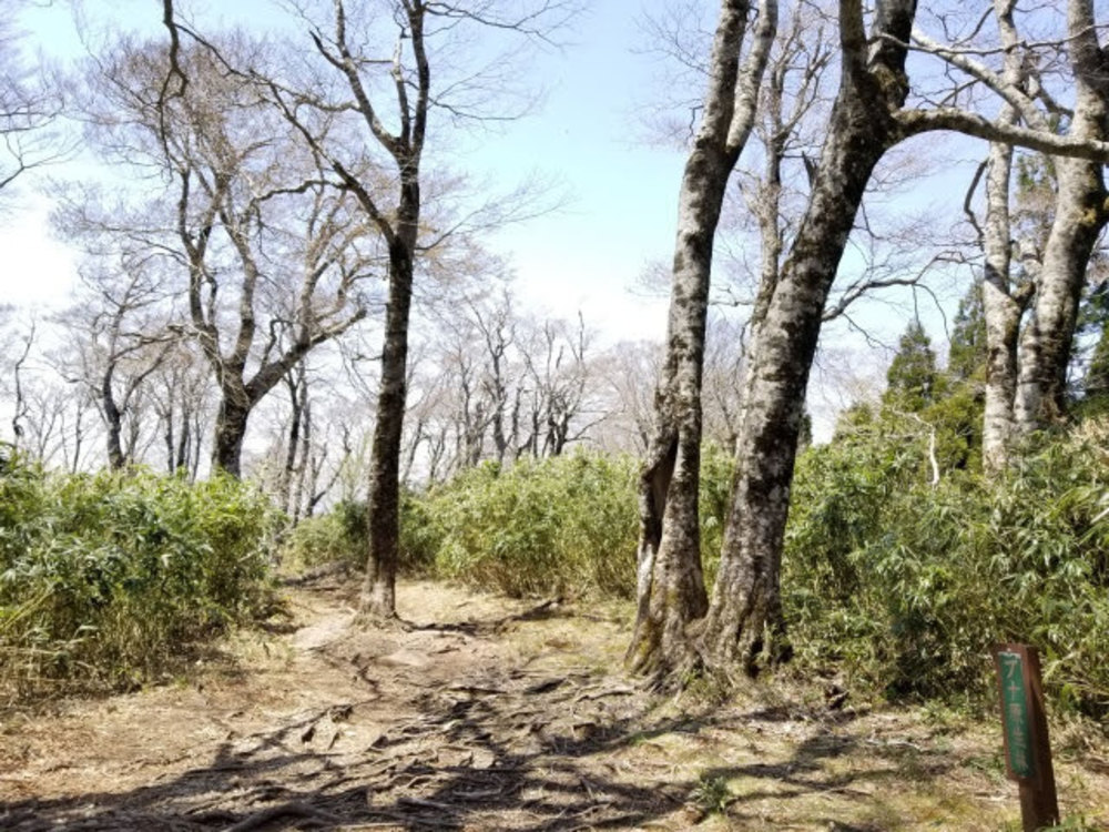 兵庫氷ノ山ぐるり１周の写真3