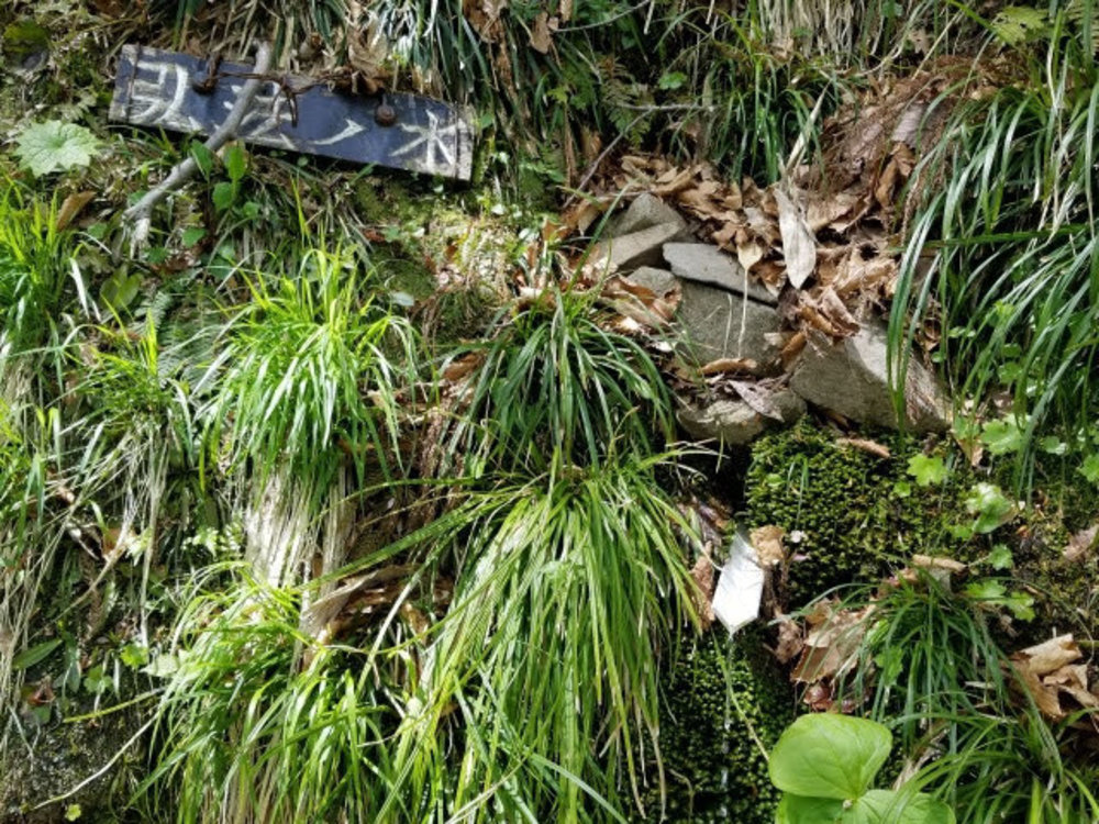 兵庫氷ノ山ぐるり１周の写真8