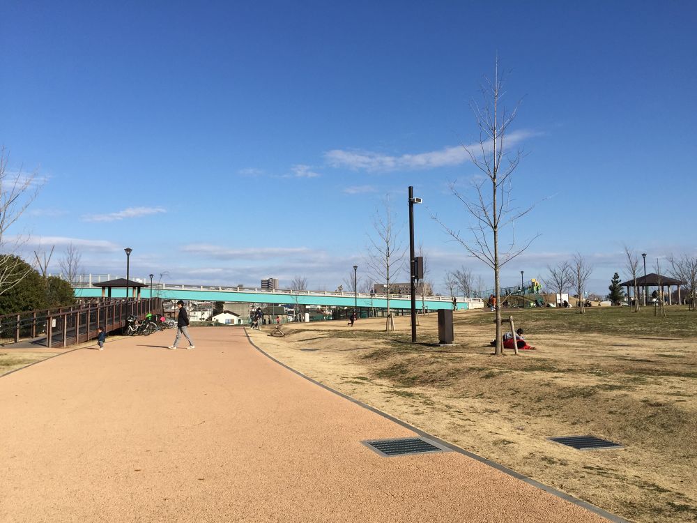 見上げれば大空が・・・東伏見公園の写真3