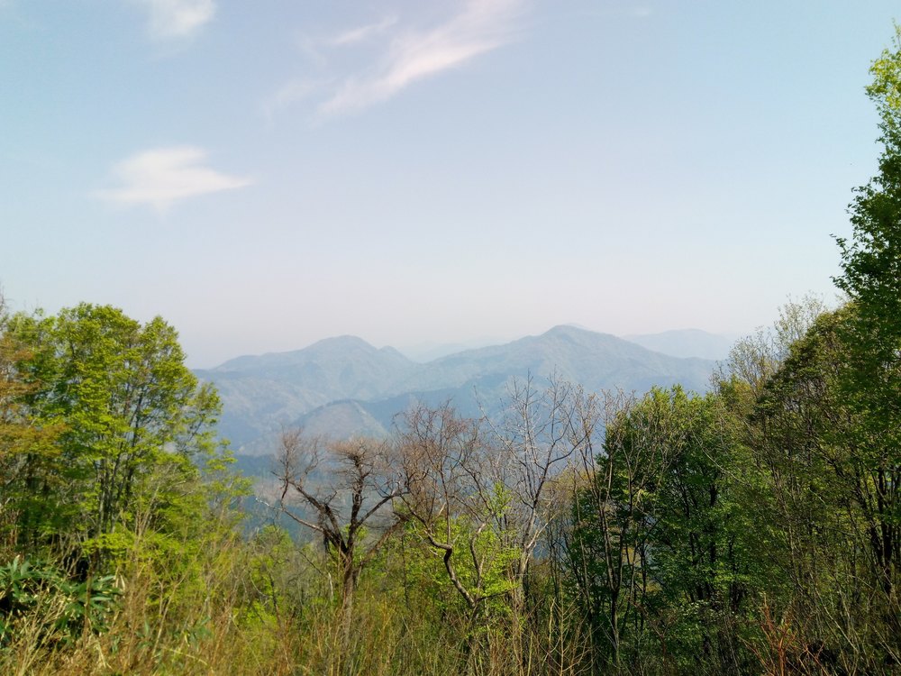 日本国山トレランで日本を制覇の写真5