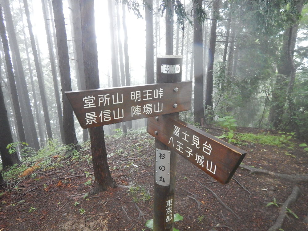 高尾山ぐるり30Kの写真3