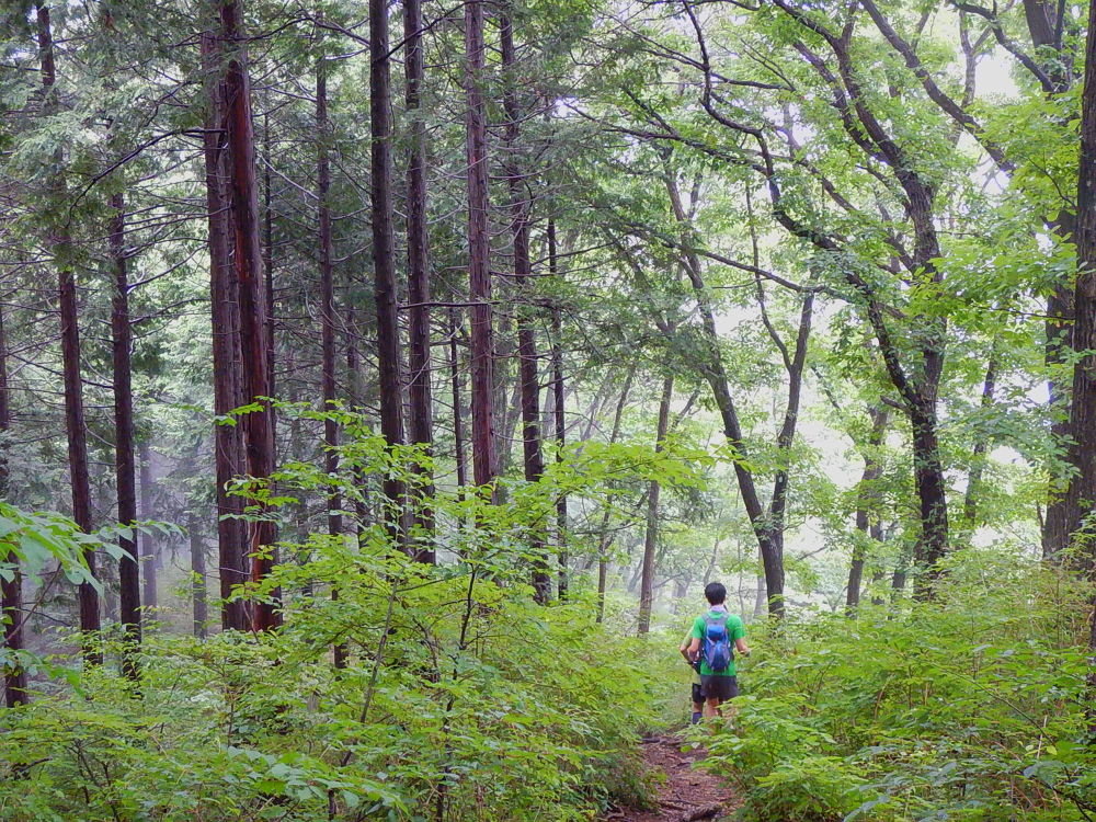 高尾山ぐるり30Kの写真4