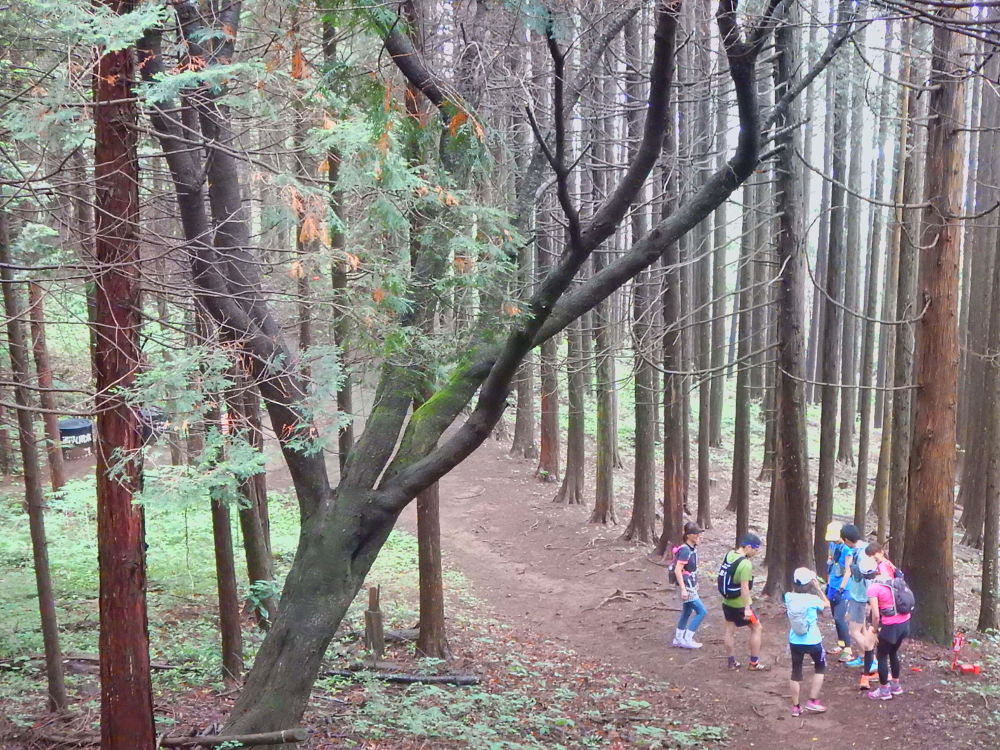 高尾山ぐるり30Kの写真7