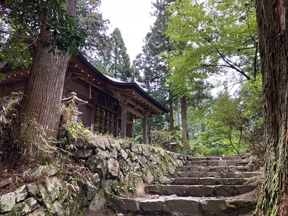 京都一周トレイル 北山東部コースの写真4