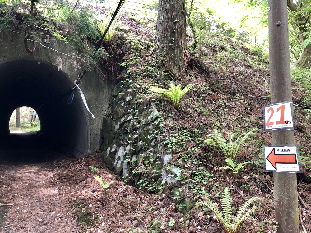 京都一周トレイル 北山東部コースの写真7