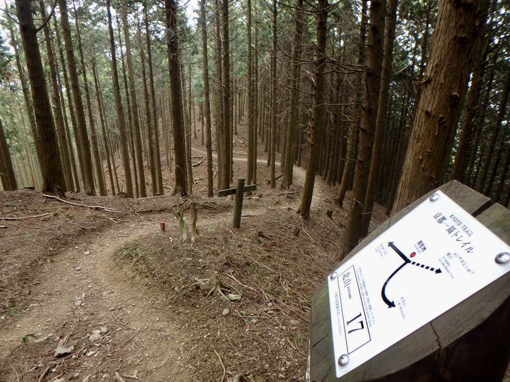 京都一周トレイル 北山東部コースの写真10