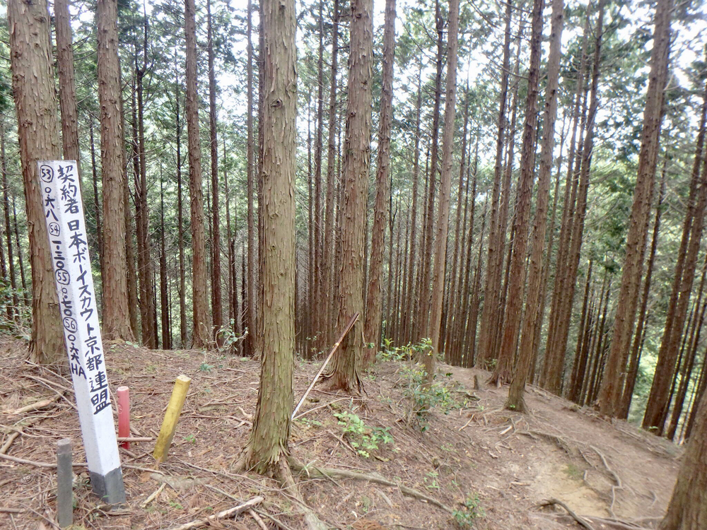 京都一周トレイル 北山東部コースの写真11