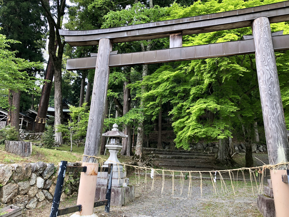 京都一周トレイル 北山東部コースの写真15