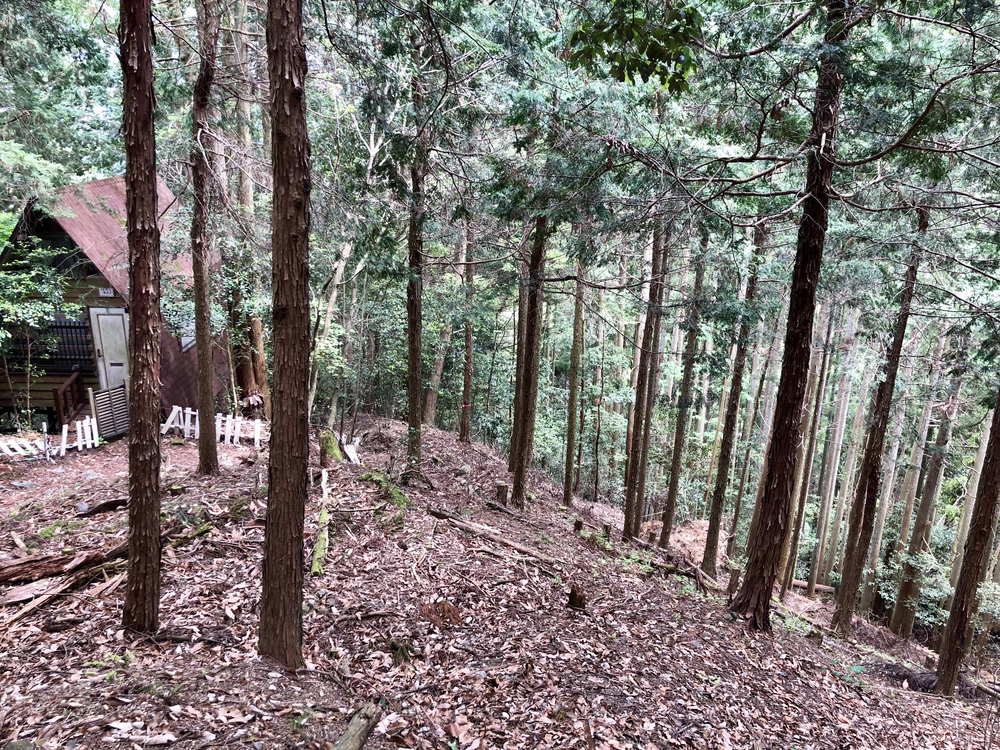 京都一周トレイル 北山東部コースの写真16