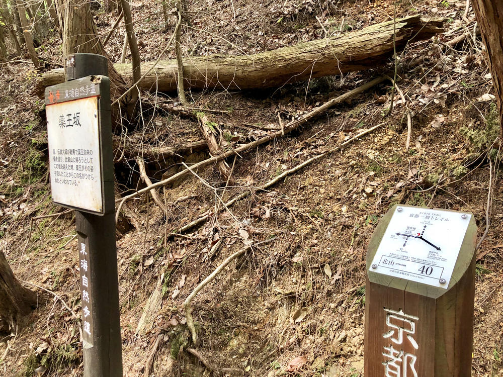 京都一周トレイル 北山東部コースの写真18