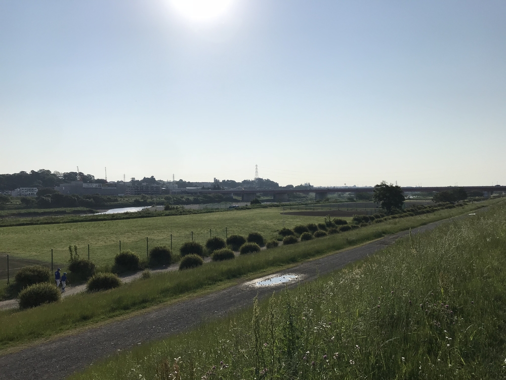 東急二大路線ラン〜二子新地、新丸子〜の写真4