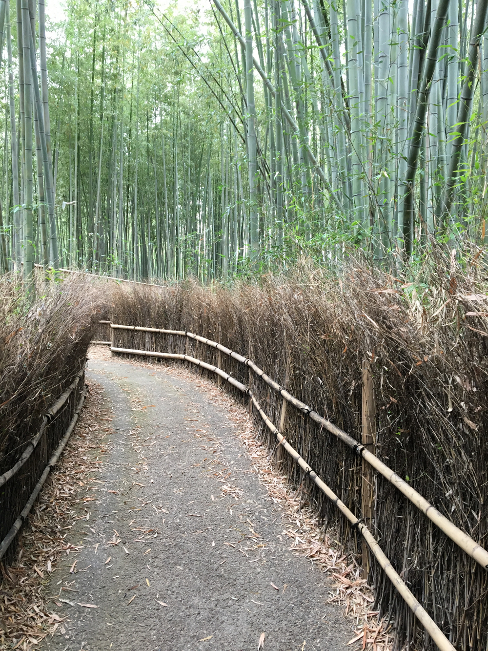 京都・嵐山コースの写真5