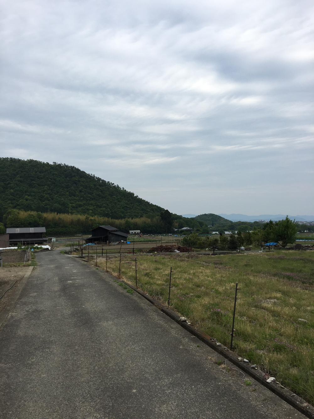 京都・嵐山コースの写真7