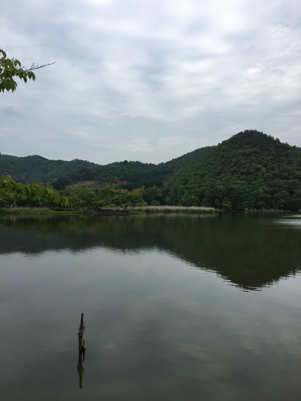 京都・嵐山コースの写真8