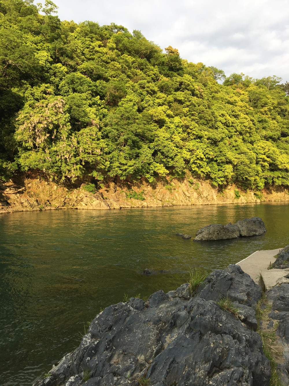 京都・嵐山コースの写真10