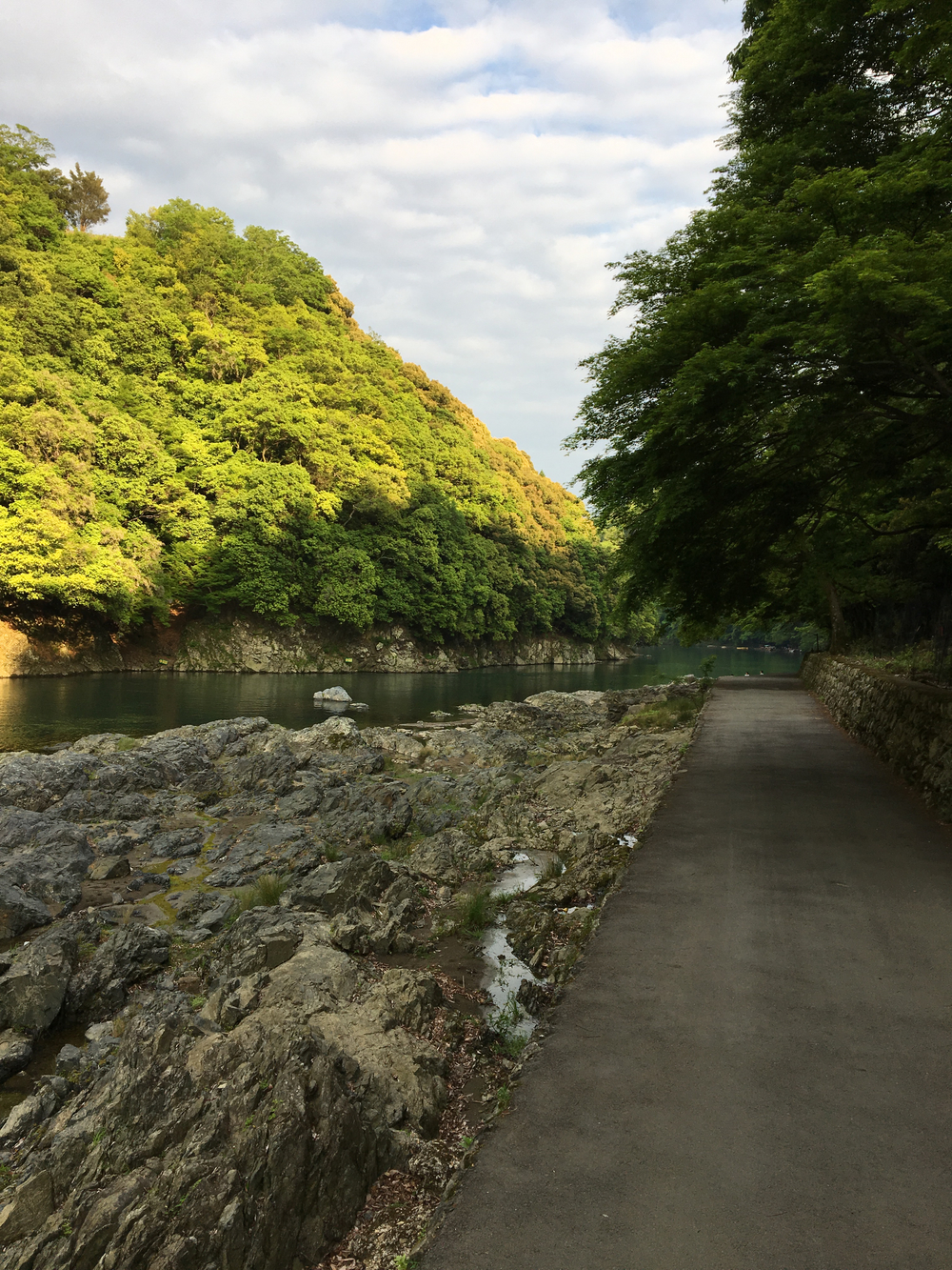 京都・嵐山コースの写真12