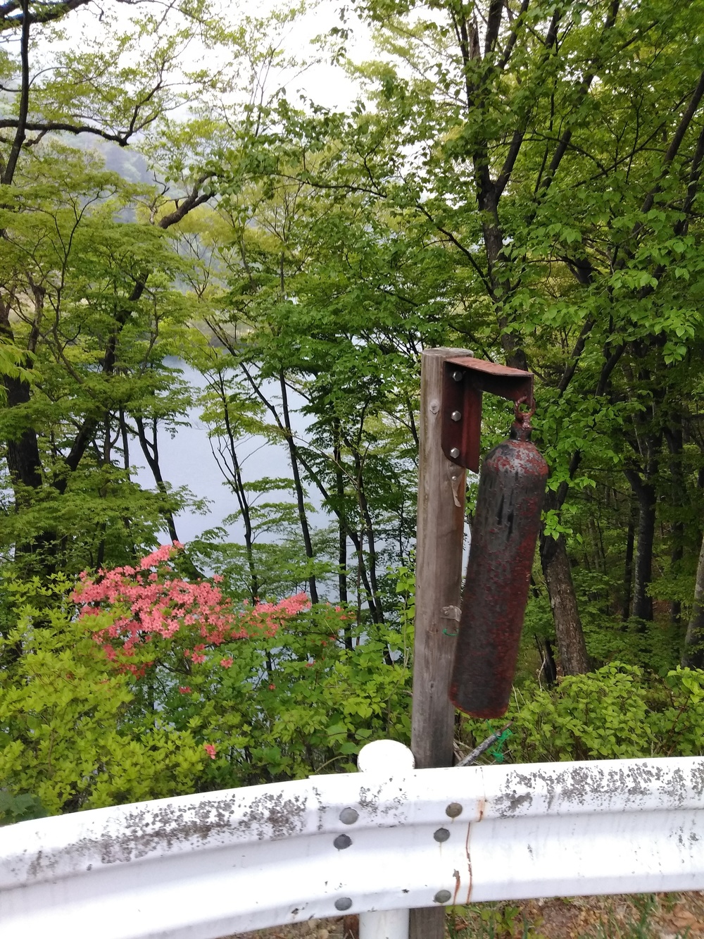 ダムマニア必走！奥四万ダム湖周回。の写真4