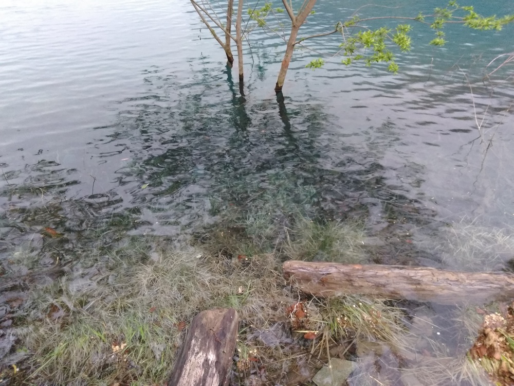 ダムマニア必走！奥四万ダム湖周回。の写真11