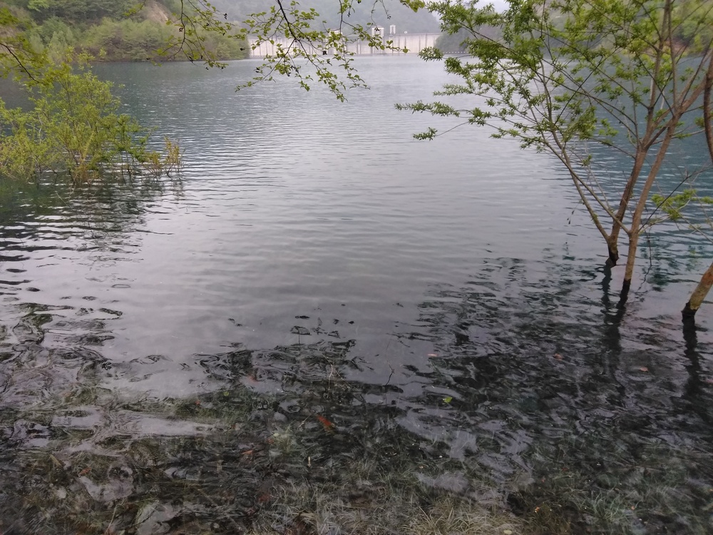 ダムマニア必走！奥四万ダム湖周回。の写真12